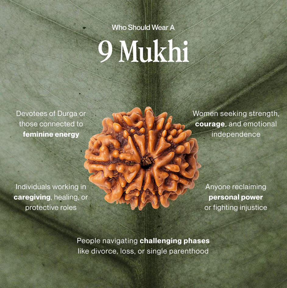 9 Mukhi Rudraksh