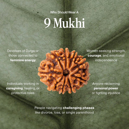 9 Mukhi Rudraksh