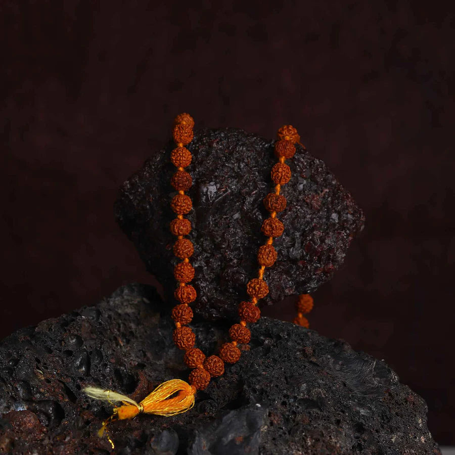 5 Mukhi Rudraksh mala
