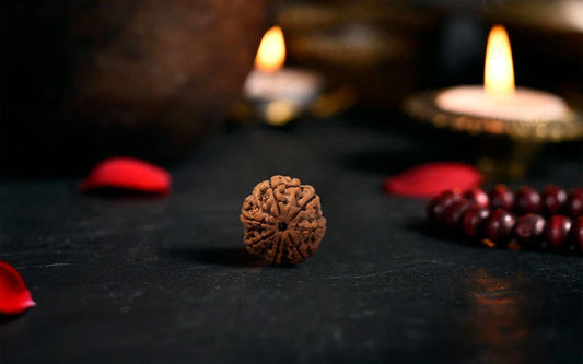 7 Mukhi Rudraksh